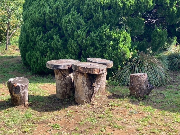 自然につつまれる気持ち良い1日を