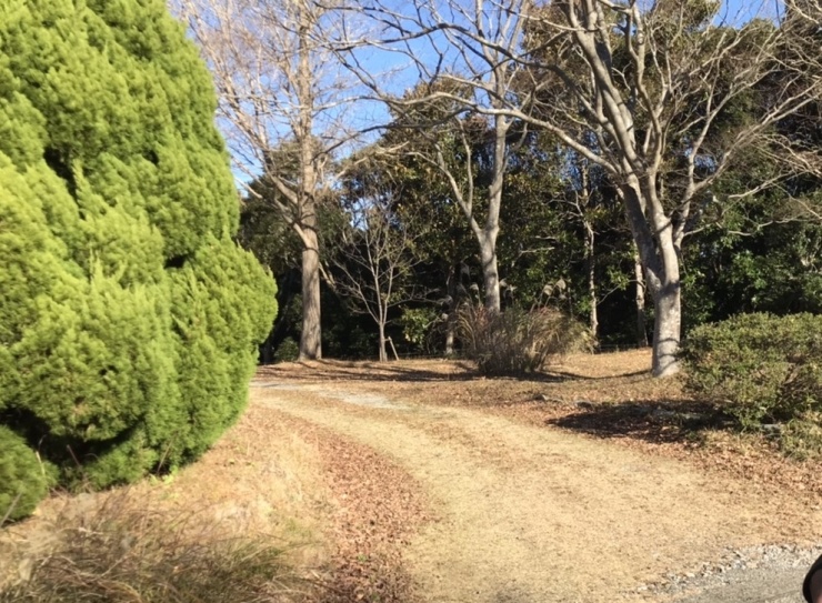 適度な道幅とアップダウンが心地よい里山コース①