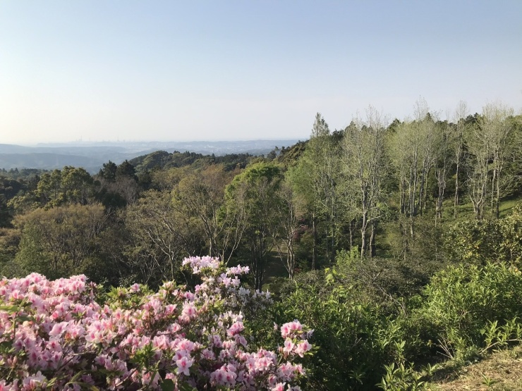 眺望も最高のロケーション