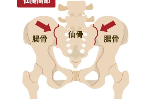 日本人のほとんどが使えていない仙腸関節を使ったランニングフォーム習得