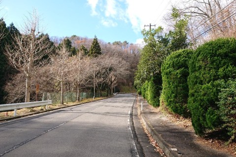 第４回 いわぬま激坂最登王決定戦