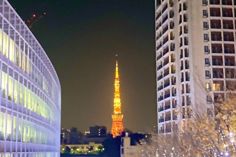 【平日：東京イルミネーション・サンタコスラン20km】
