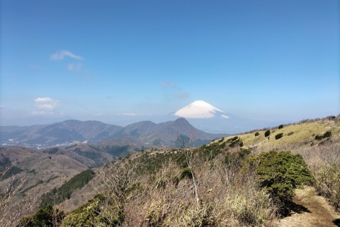 シンクトレイルランナーズ 月例４月 箱根外輪