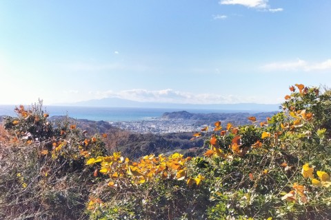 シンクトレイルランナーズ 月例３月 YTK30