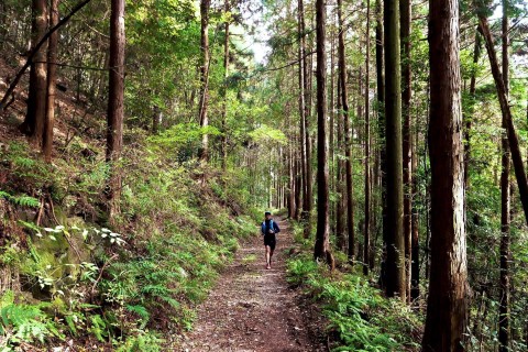 「大和塾」吉野大和選手によるさくらやまトレラン練習会@冬の陣