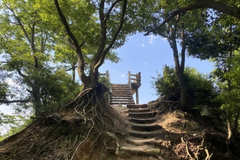 Flash Trail Challenge ボランティアスタッフ募集