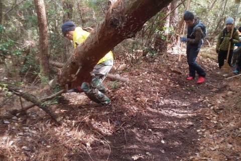 【無料 】1/31＆2/14 善通寺五岳山空海トレイル2026整備イベント