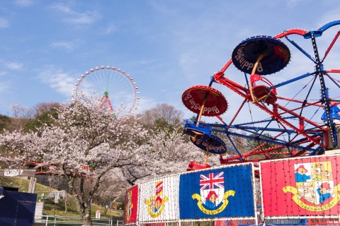 さがみ湖さくらウォークinプレジャーフォレスト