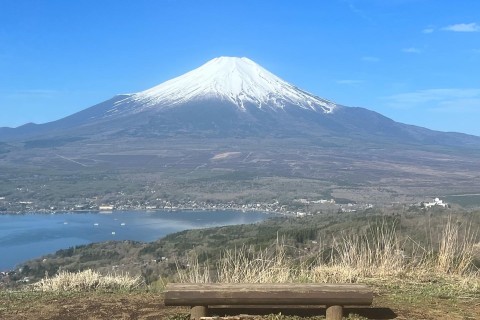 FUJI対策セミナー【Zoomオンライン】