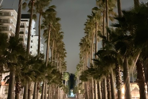 サンセット＆ナイトトレイルと夜の海を巡るEasy Kamakura Trail