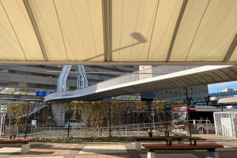 第1回守口市モルック大会エル守口カップ