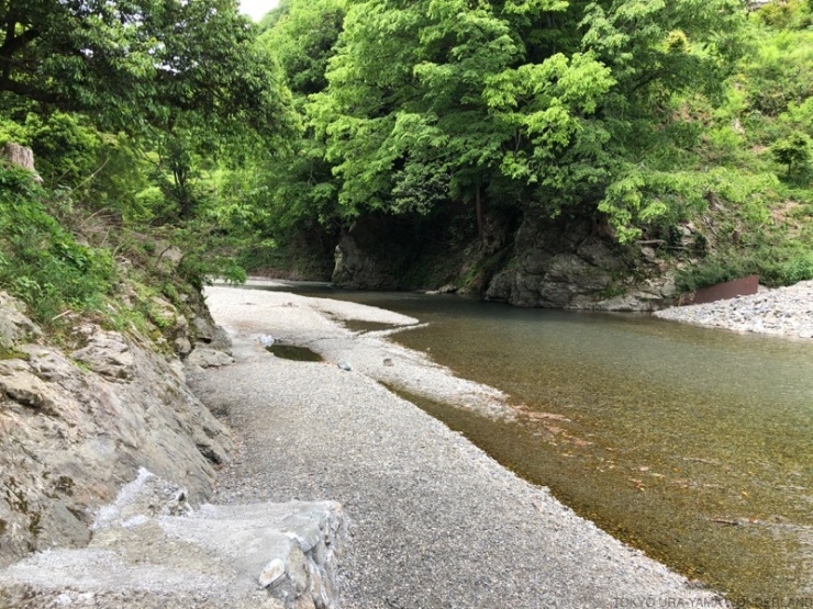 ドボンOK！水が超きれいな秋川渓谷の水辺も通ります 上流にダムのない、東京の清流・秋川。 このコースでは川沿い（というか川のすぐそば）も通れます！ 夏にはそのままドボンしたら最高！ 足だけをつけても気持ちいいですよ〜！