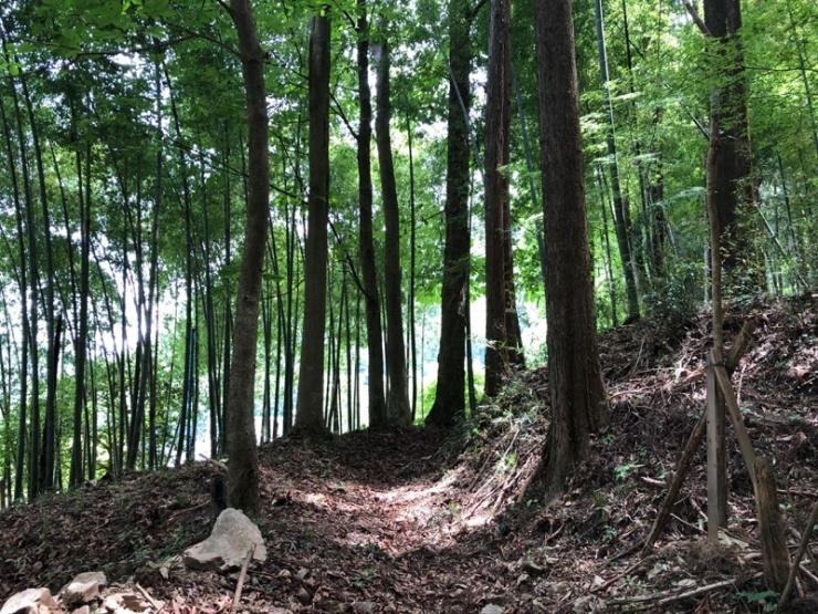 雰囲気抜群！古道トレイル このコースの魅力の一つは、秋川渓谷沿いの集落と集落をつなぐような歴史を感じる古道を楽しめること。 山の向こうの集落と行き来した峠道、かつては木炭を運んでいた交易の道、山の上の神社に参拝するための尾根道の参道、などなど。 それぞれ少しずつですが、かつての山里の生活に思いを馳せながら古道を歩く（走る）、ロマンがあって楽しいです。