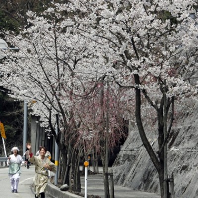 スパマラソンinうなづき　2023