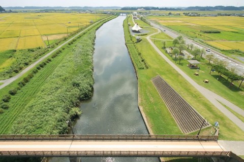 TAKOTAKO RUN～多古町凧あげマラソン～