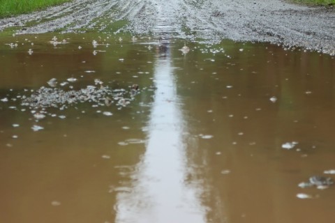 第11回　姫ボタル・瀞川平トレイルラン