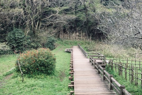 Kamakura Plants Run〜鎌倉トレイルの植生を知るE.K.Trail