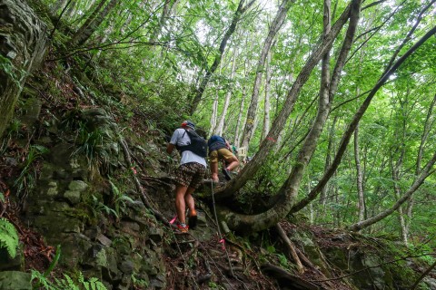 第11回　姫ボタル・瀞川平トレイルラン