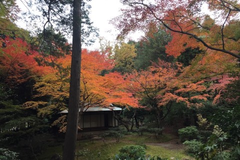 2023年5月　都内庭園巡りマラニック