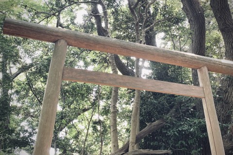 Benten to Benten Easy Kamakura Trail〜初め弁天から終わり弁天へ