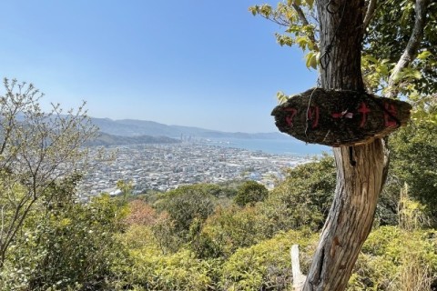 桜咲き誇る名草山でお花見ハイキング！