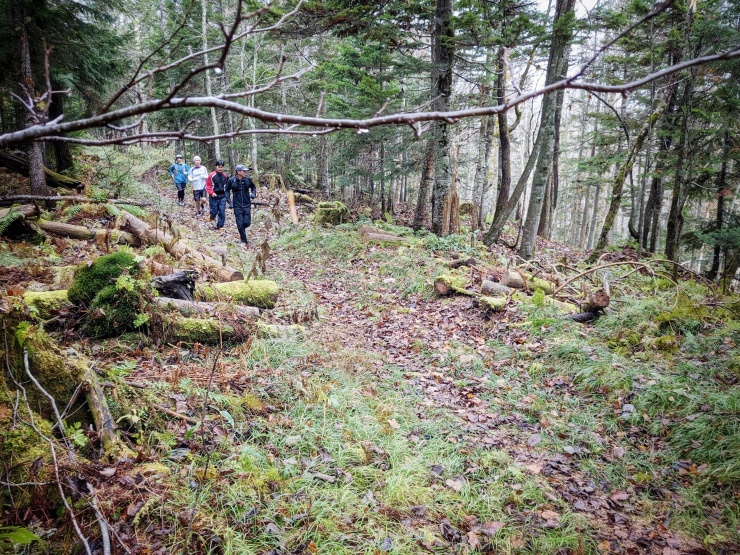 マンディル近郊のトレイル