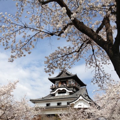 【お城マラソン】読売犬山ハーフマラソン