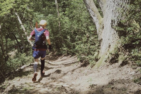 KAKITSU2023 ～播磨の国の山城跡を巡るトレイルラン～