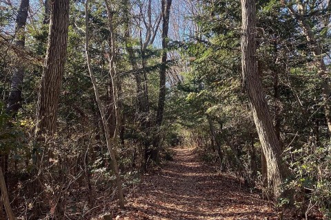 RUNPOYA青梅トレイルランニング20km【中級者・経験者推奨】