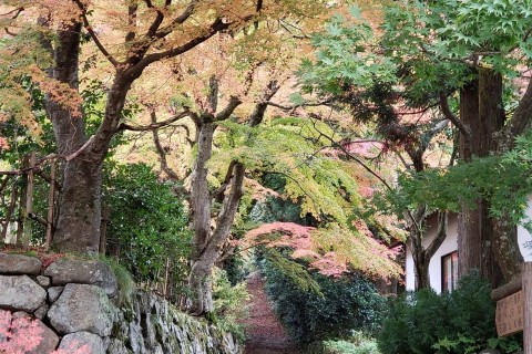 石動山トレイルラン10キロ（中能登トレジャートレイルラン前日イベント）