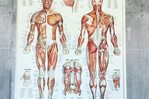 【金沢市開催・1名様】3か月集中パーソナルランニング&トレーニング