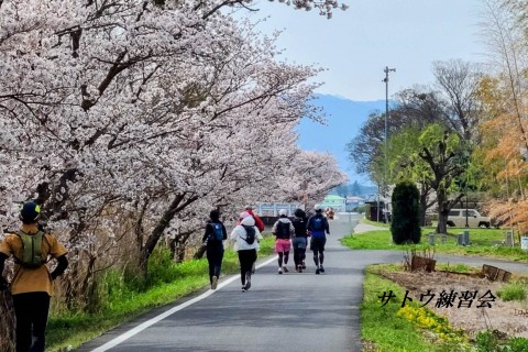 【サトウ練習会】ランニングチーム メンバー募集 京都市(二条城、京都御苑、遠足ランほか）runnet