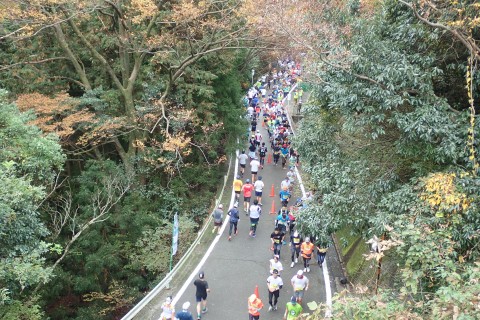 いびがわマラソン2023ボランティア募集！