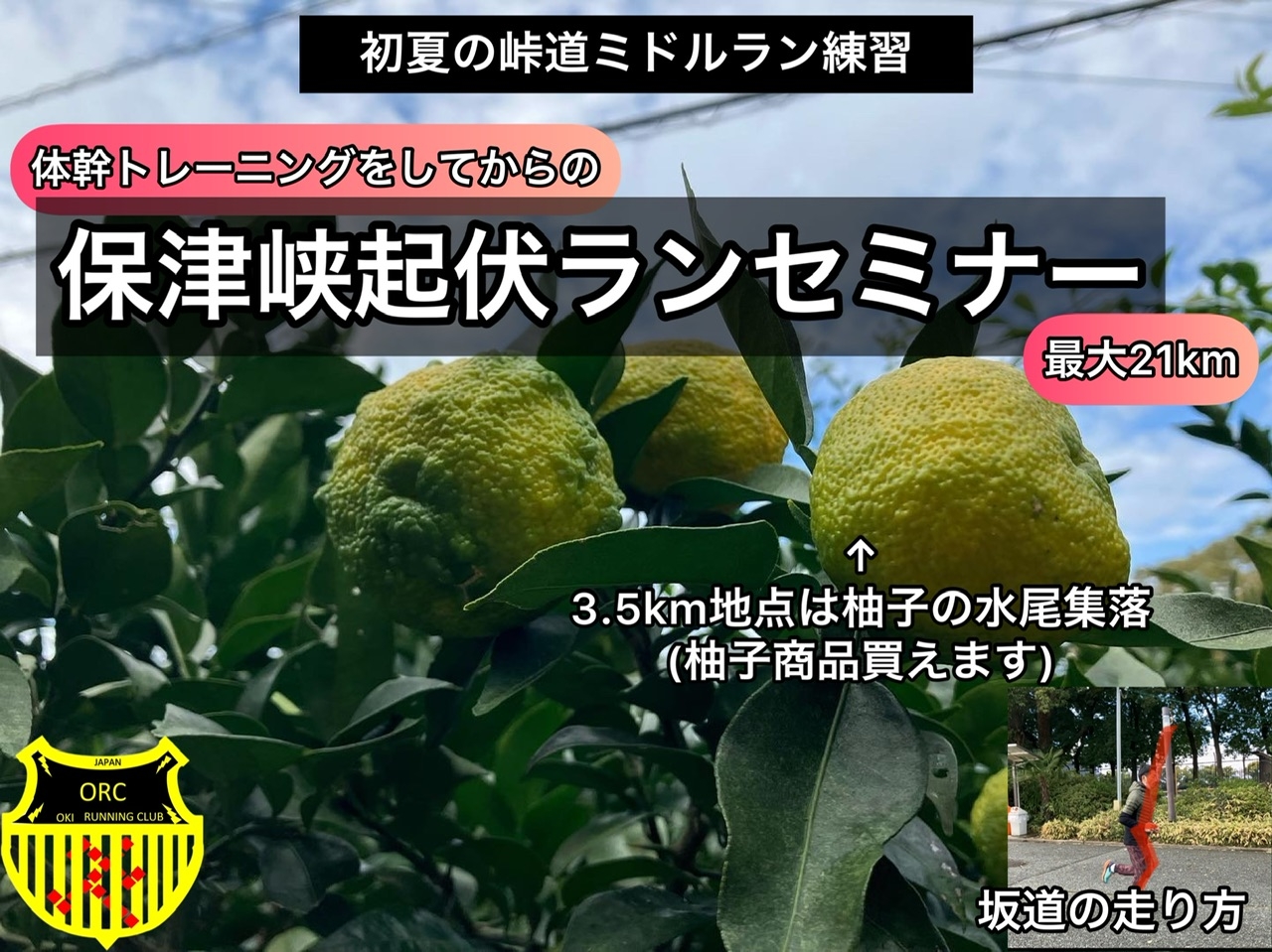 パラミツ 9.1キロ パラミツ ジャックフルーツ