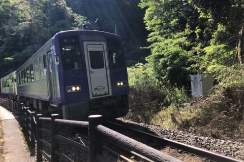 景色を楽しむ　笠置〜野殿〜やぶっちゃの湯マラニック