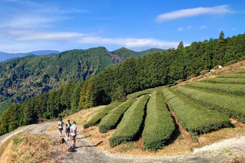 バイオロゲイニング2023