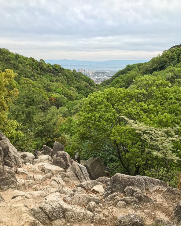トレイルからの景色