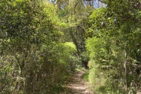 六甲全山縦走24ピークスハント(45km)