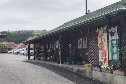 高山ダム〜南山城村道の駅〜やぶっちゃの湯マラニック
