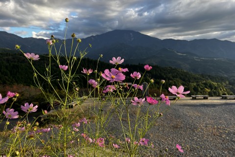 第9回　中山道・木曽路ウルトラウォーキング2026