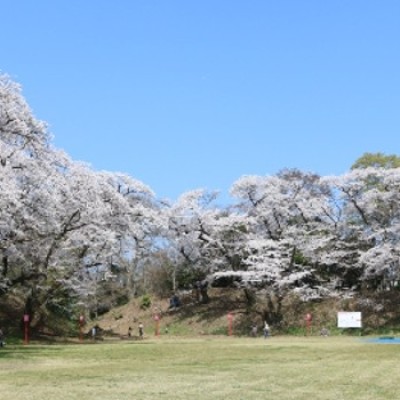 【お城マラソン】大田原マラソン