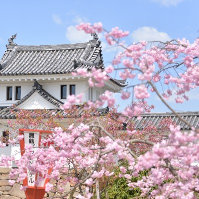 【お城マラソン】舞鶴赤れんがハーフマラソン