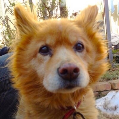 マサユキ8848さん