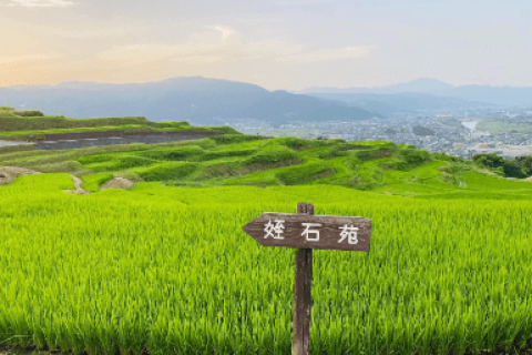 千曲棚田チャレンジウォーク