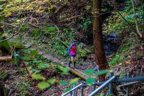 Spa to summit！ さくらやまトレイル2023