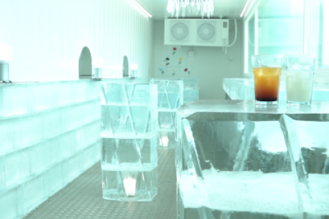 【特典付】由比ガ浜で朝ランニング＆浜辺クリーンをしよう！