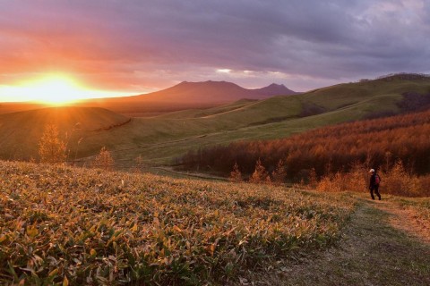 11/4（土） ゴールデンラーチトレイルラン