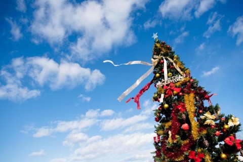 日野サンタマラソン