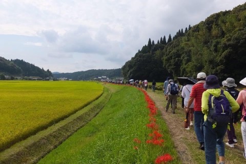 第12回　竹子（たかぜ）ふるさとウォーク