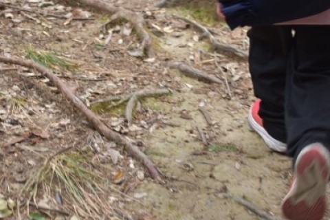 バイオロゲイニング2023